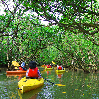 奄美大島の観光写真