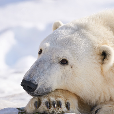 旭川の観光写真