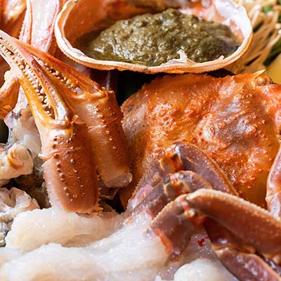 福井の観光写真