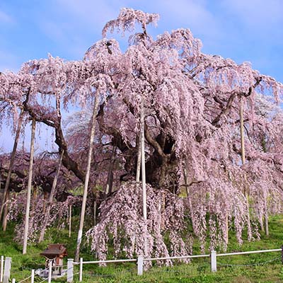 福島の観光写真