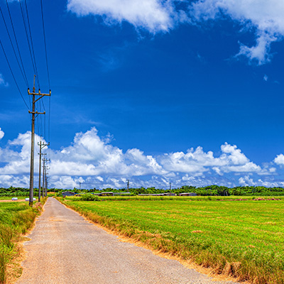 小浜島の観光写真