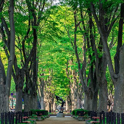 仙台の観光写真
