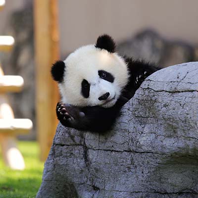 南紀白浜の観光写真