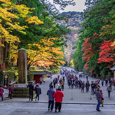 栃木の観光写真