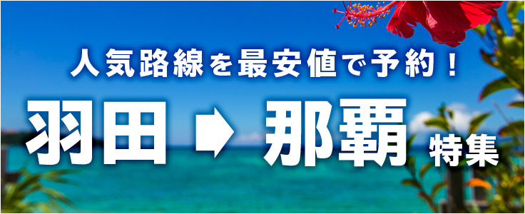 格安航空券 国内線のlcc 飛行機チケット予約 His国内航空券予約