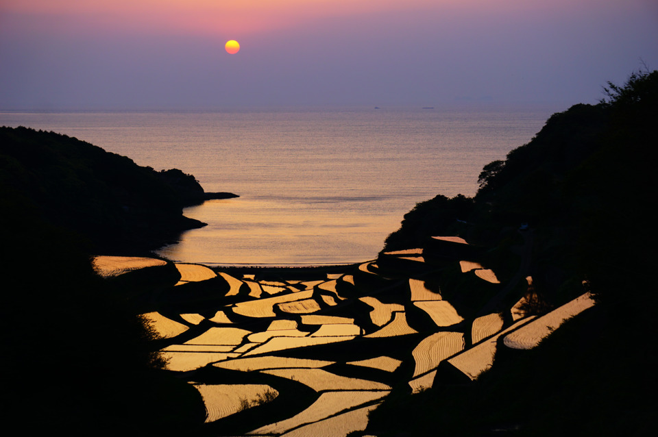 浜野浦の棚田