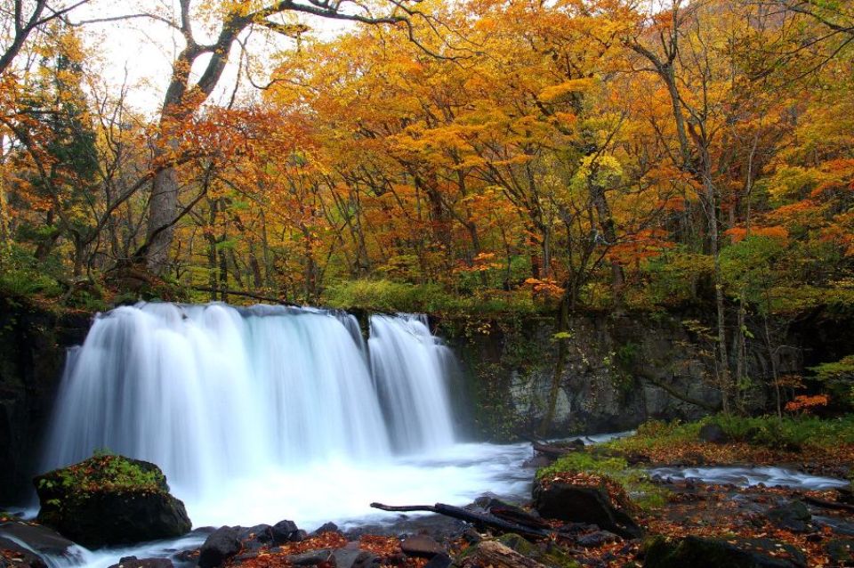 奥入瀬渓流（イメージ）
