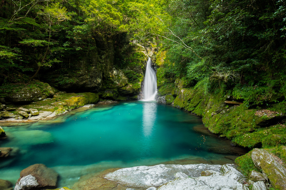 仁淀川（イメージ）