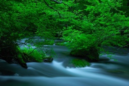 奥入瀬渓流