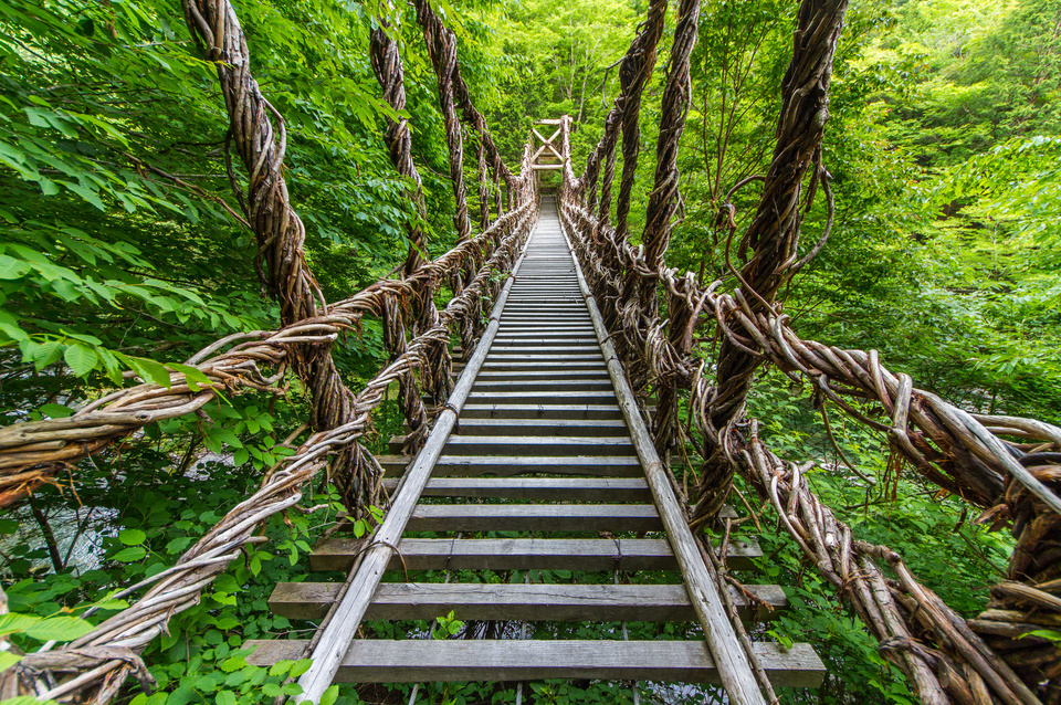祖谷のかずら橋