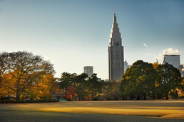 代々木公園