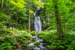 奥入瀬渓流_雲井の滝