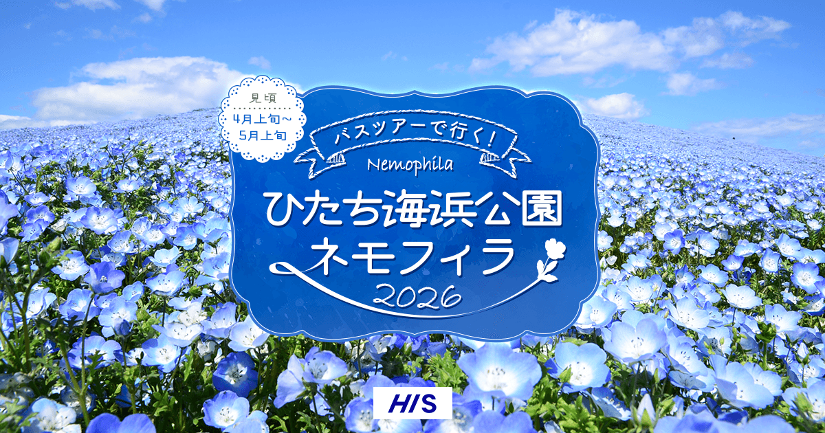 バスツアーで行く国営ひたち海浜公園ネモフィラ【HIS首都圏発】