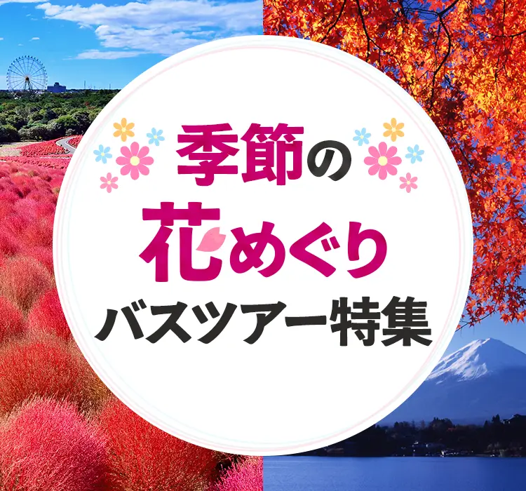 季節の花めぐりバスツアー特集