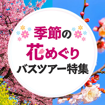 ALTを入れてください