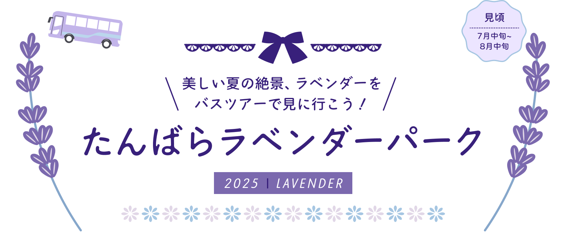楽しい夏の絶景、ラベンダーをバスツアーで見に行こう！