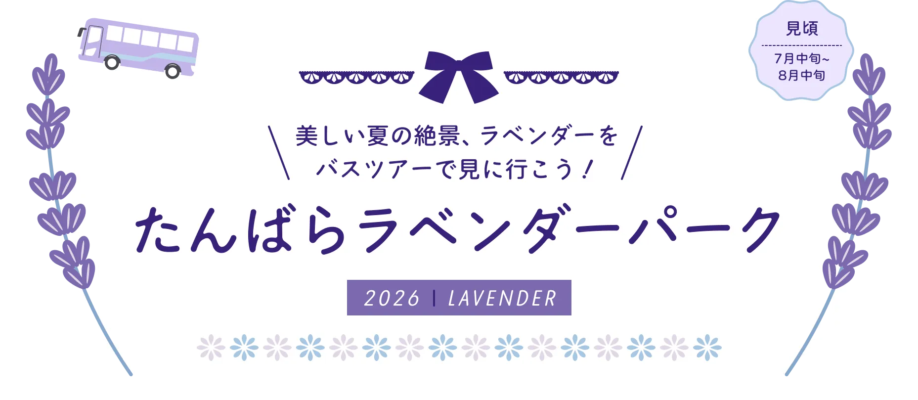楽しい夏の絶景、ラベンダーをバスツアーで見に行こう！