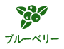 ブルーベリー