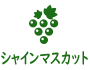 シャインマスカット