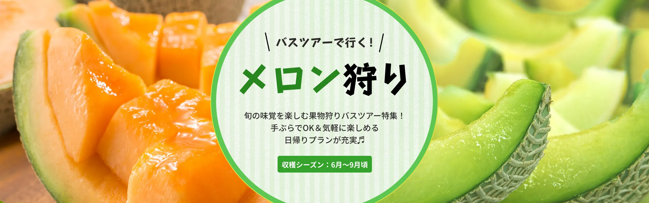 メロン狩りバスツアー