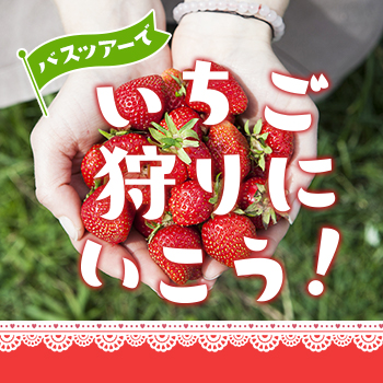 いちご狩り特集