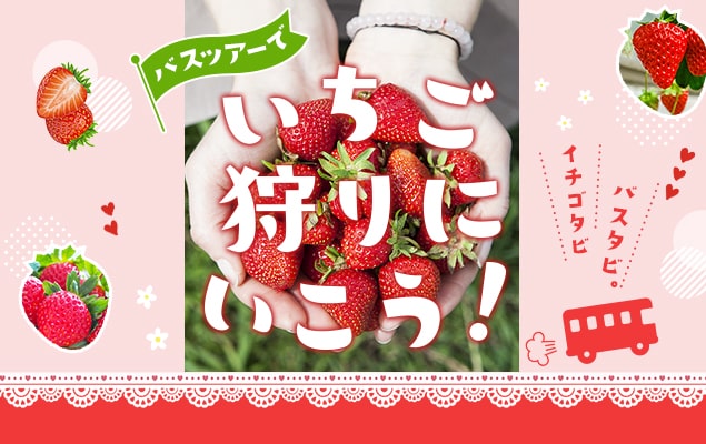 いちご狩り特集