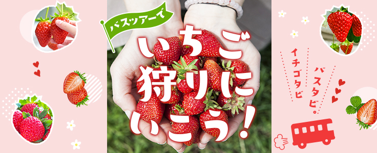 いちご狩りバスツアー特集（関西発着）