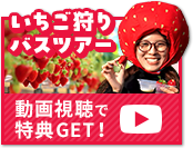 動画視聴で特典ゲット！いちご狩りの動画を見る