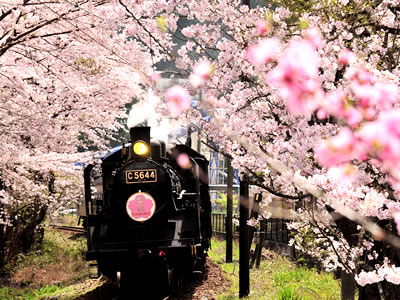大井川鐵道（イメージ）