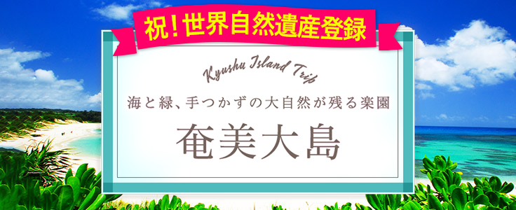 中部発 セントレア発 九州旅行 ツアー His国内旅行