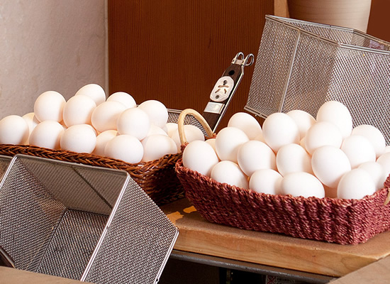 温泉たまご作り体験（イメージ）