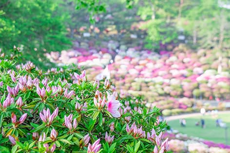 西山公園（鯖江市）