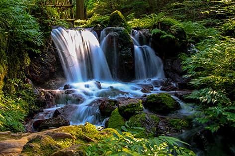 瓜割の滝（若狭町）