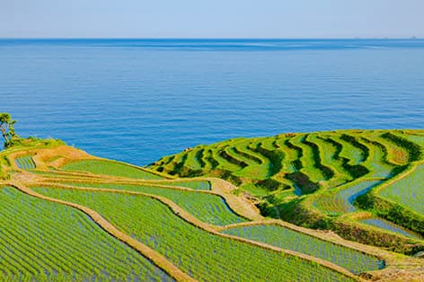 白米千枚田(輪島市)
