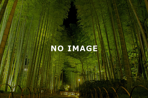 ナガシマスパーランド（桑名市）