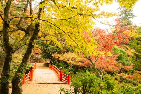 紅葉谷公園（宮島）