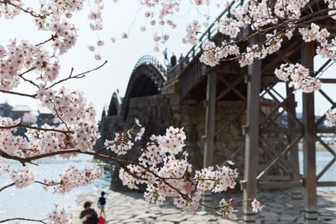 錦帯橋（岩国市）