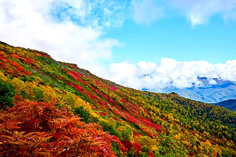 層雲峡の紅葉