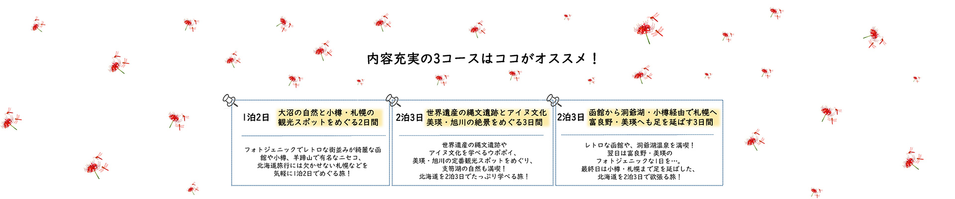 内容充実の3コースはココがオススメ！