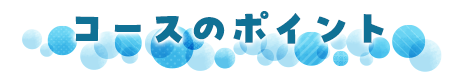 コースのポイント