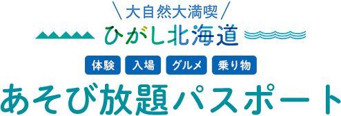 あそび放題パスポート