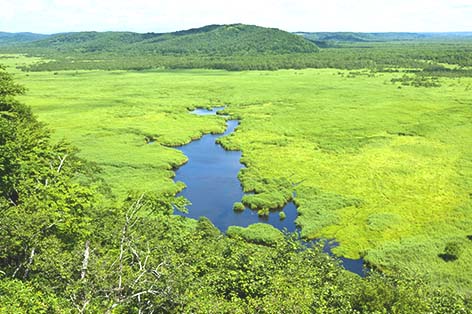 釧路湿原国立公園