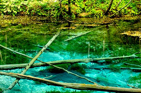 神の子池（清里町）