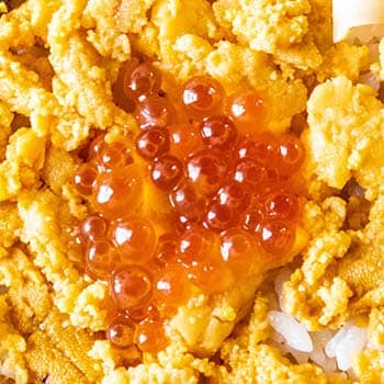うに飯丼