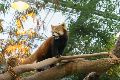 神戸どうぶつ王国（神戸市）