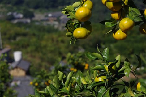 有田・御坊・日高