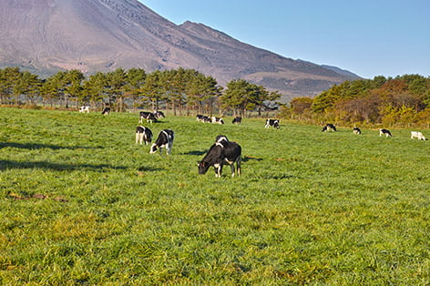 万座・嬬恋・北軽井沢