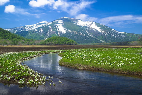 尾瀬（利根郡片品村）