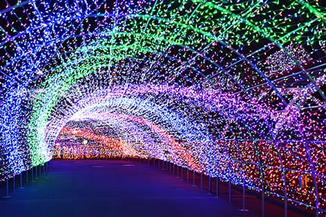 よみうりランド（稲城市）