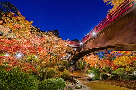 燕・三条・岩室・弥彦